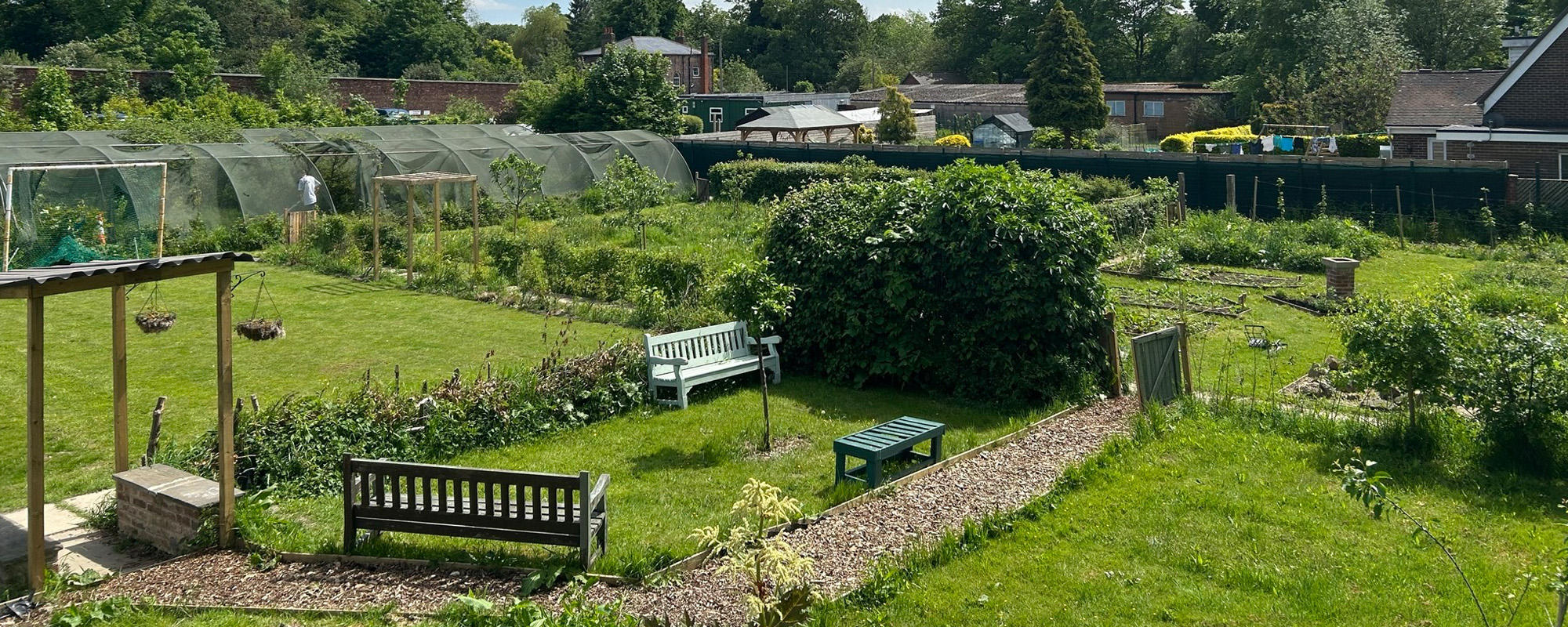 Photo of the Thrones Park garden