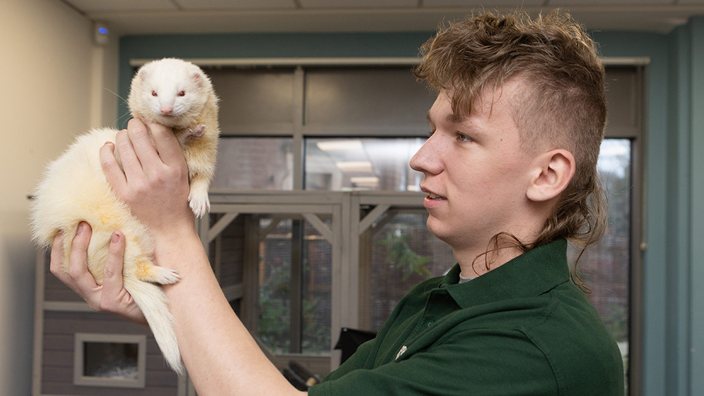 Photo of student holding a ferret