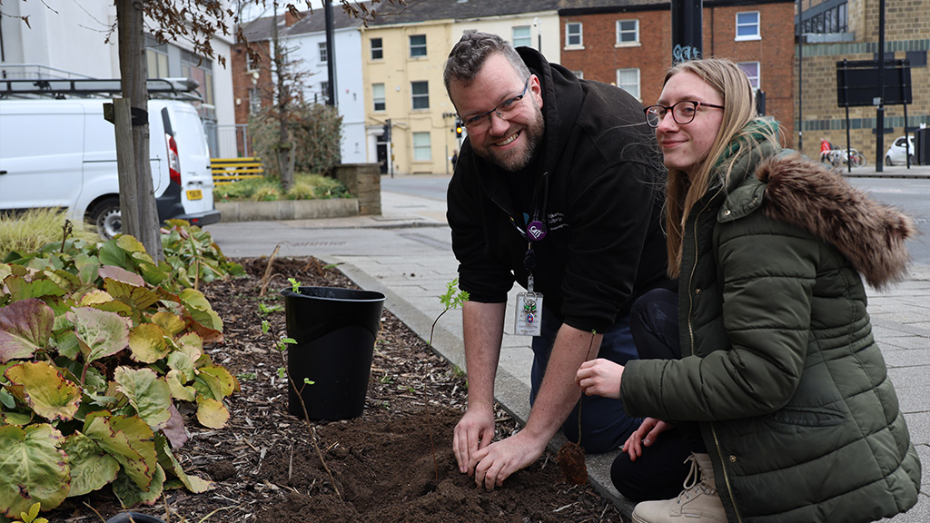 Tutor and student planting tree